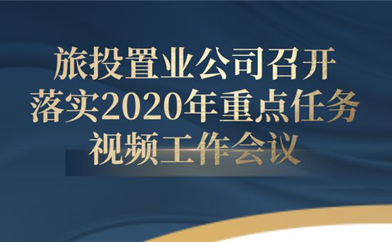 龙8头号玩家置业公司召开落实2020年重点任务视频工作会议