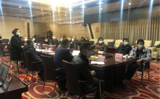 龙8头号玩家创新公司有序推进攀西项目建设工作