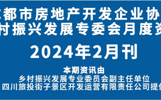 龙8头号玩家街子智慧文旅项目登成都房开协会内刊