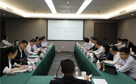 龙8头号玩家创新公司召开2024年一季度运营分析会