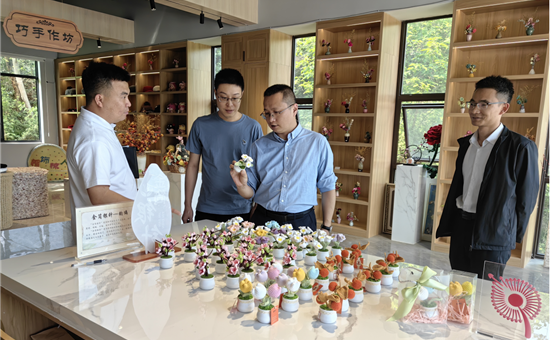 开展1+N资源整合丨省龙8头号玩家集团考察组赴简阳市文旅项目考察调研